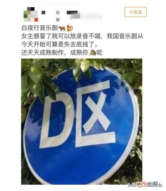 韩雪经历了什么 韩雪的身世