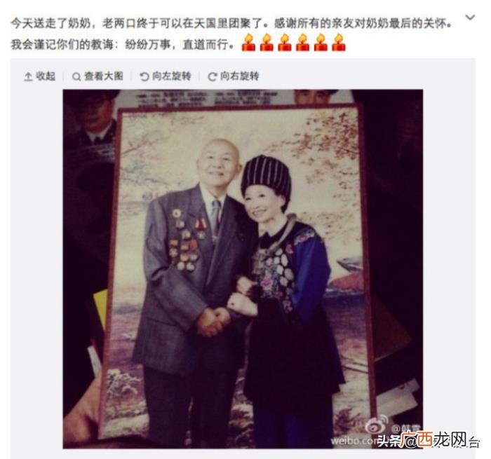 韩雪经历了什么 韩雪的身世