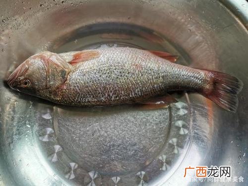 人工养殖大雁 鲈鱼是人工养殖的吗