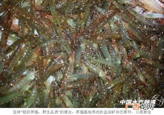 吕梁哪里有养驴的 吕梁养殖项目