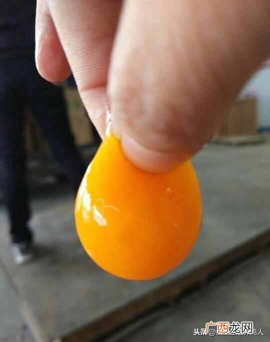 怎么辨别假鸡蛋是不是土鸡蛋（只需要这一招就