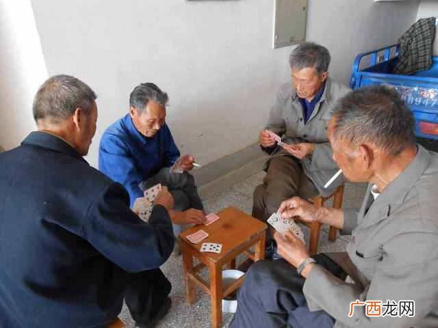 四害有哪些危害 什么是四害