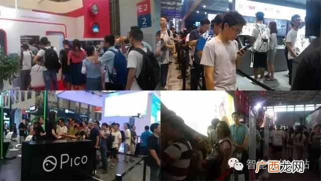 showgirl中文翻译是什么职业 showgirl是什么意思