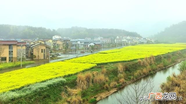 适合农村的致富小项目 2016年农村赚钱项目