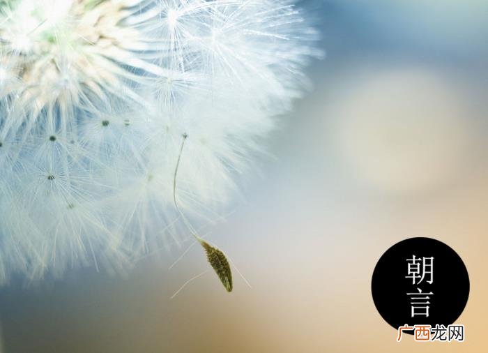 50句感恩父母的感人话语 感谢父母的话简短说说