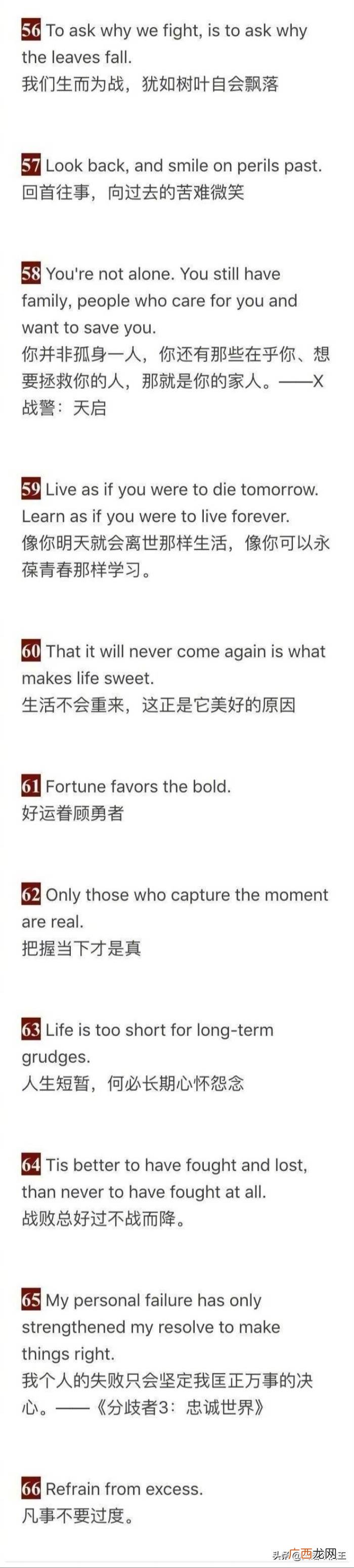 100个美到窒息的英文句子 优美的英语句子