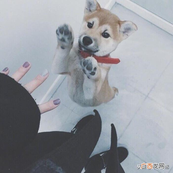 忧伤失眠的心情说说 关于失眠的说说和配图