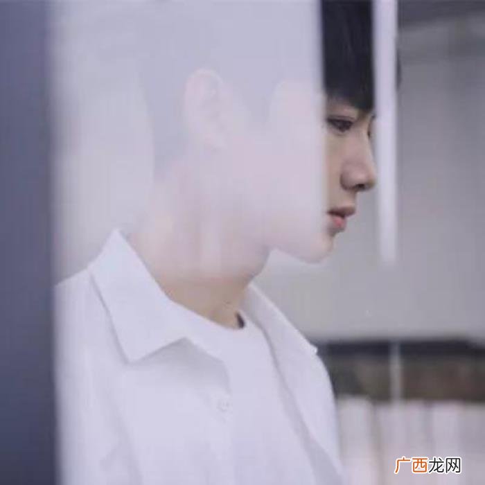 21句网易云热评|风筝有风 风筝有风海豚有海