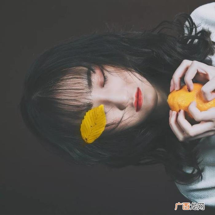 21句网易云热评|风筝有风 风筝有风海豚有海