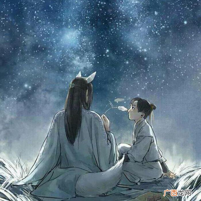21句网易云热评|风筝有风 风筝有风海豚有海