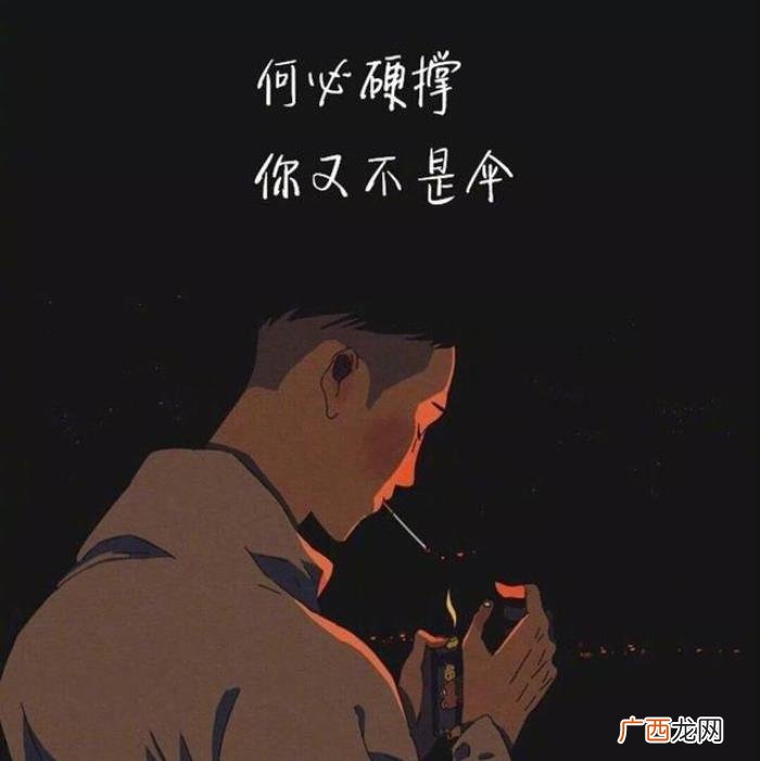 21句网易云热评|风筝有风 风筝有风海豚有海