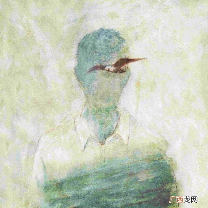 21句网易云热评|风筝有风 风筝有风海豚有海