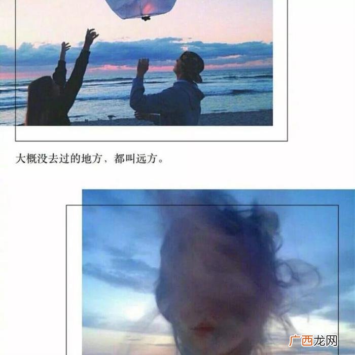21句网易云热评|风筝有风 风筝有风海豚有海