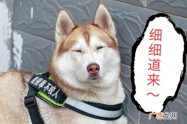 自媒体是如何赚钱的 自媒体是什么