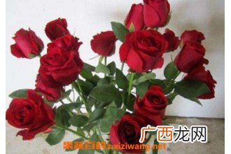 摘下来的花怎样保存 鲜花怎么保存时间长