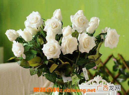 摘下来的花怎样保存 鲜花怎么保存时间长