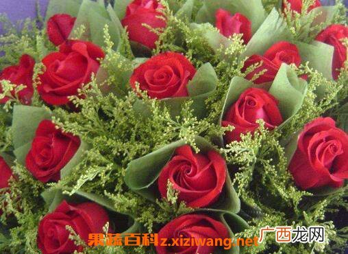 玫瑰花摘下来怎么保存