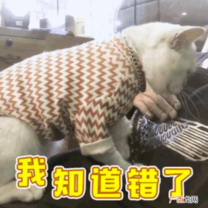 扑进男朋友怀里表情包，向男朋友撒娇专用表情包