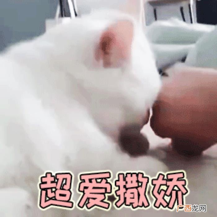 扑进男朋友怀里表情包，向男朋友撒娇专用表情包