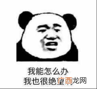 具有哪些功能 车用流媒体是什么意思