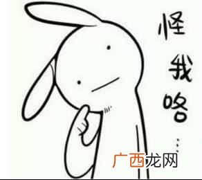 具有哪些功能 车用流媒体是什么意思