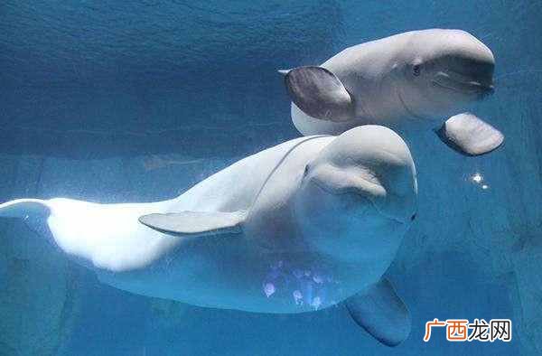 长沙十大旅游景点推荐 长沙有什么旅游景点