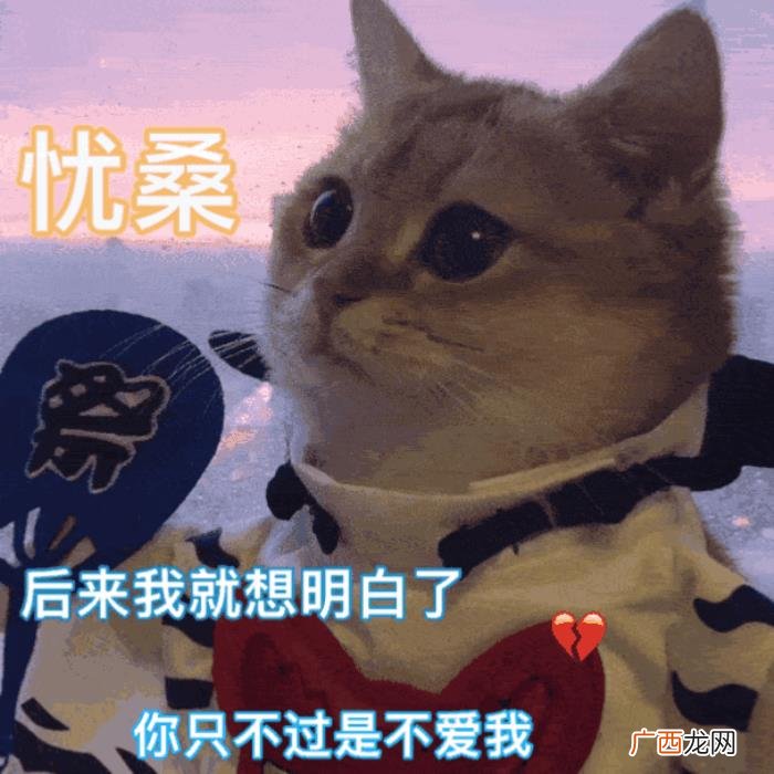 表情包｜分手也要体面 分手的图片