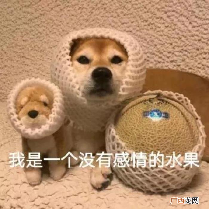 表情包｜分手也要体面 分手的图片