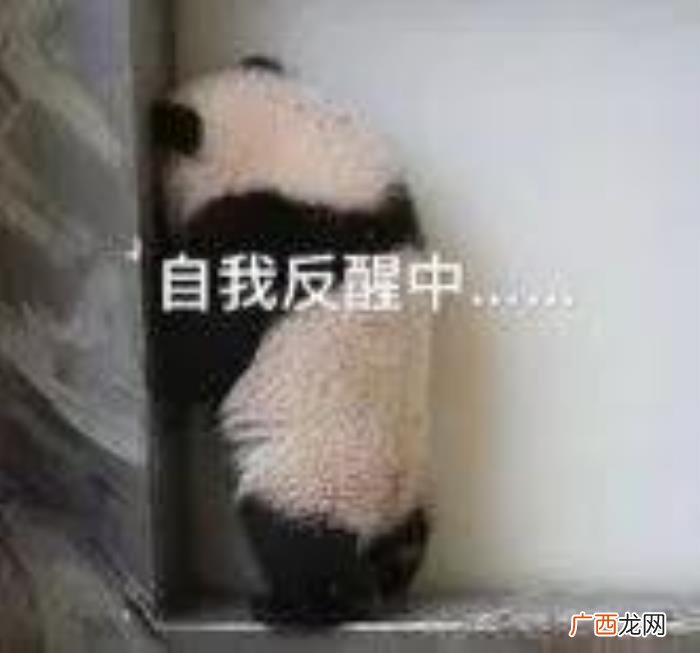 表情包｜分手也要体面 分手的图片
