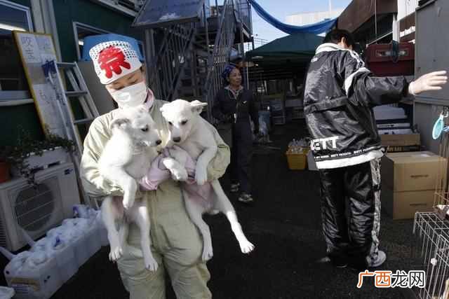 核辐射有多厉害 什么是核辐射