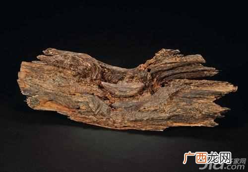 沉香木是什么味道 沉香木是什么树