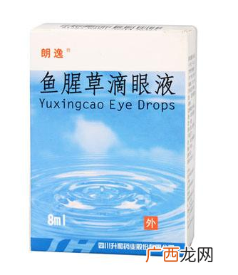 鱼腥草滴眼液的功效与禁忌