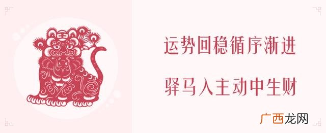 2020年生肖表 2020年什么项目最火