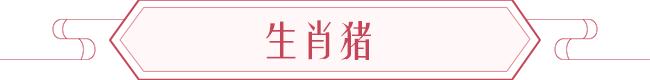 2020年生肖表 2020年什么项目最火