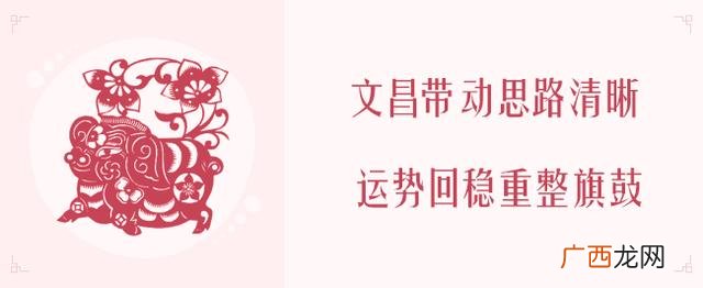 2020年生肖表 2020年什么项目最火
