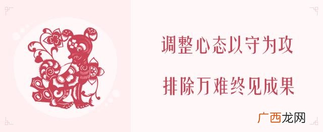 2020年生肖表 2020年什么项目最火