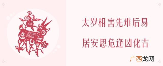 2020年生肖表 2020年什么项目最火