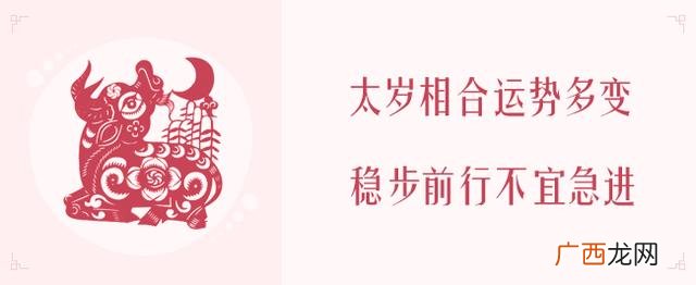 2020年生肖表 2020年什么项目最火
