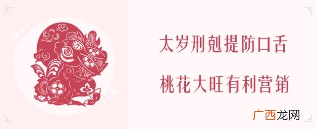 2020年生肖表 2020年什么项目最火