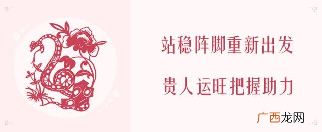 2020年生肖表 2020年什么项目最火