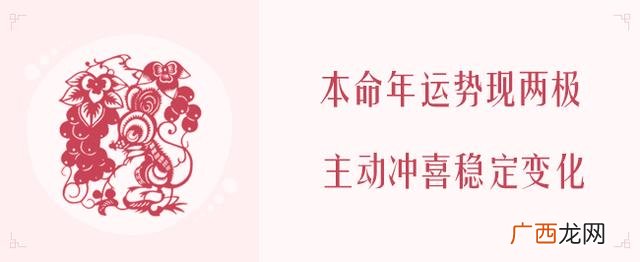 2020年生肖表 2020年什么项目最火