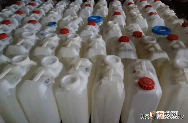 洗衣液需要什么手续 开洗衣液厂需要什么手续
