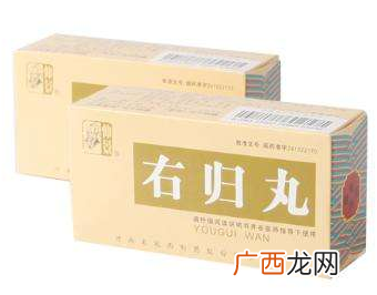 金匮肾气丸和右归丸区别