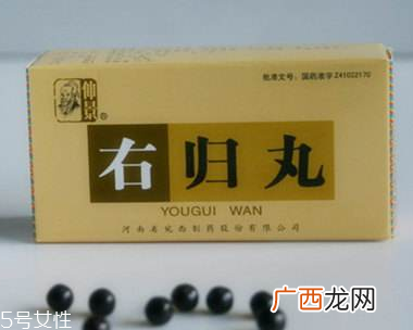 右归丸的功效与作用补肾小能手