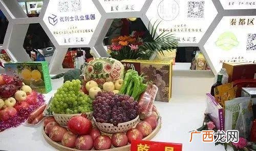 杨凌农高会养殖项目,杨凌农业养殖种植项目