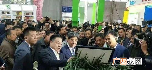杨凌农高会养殖项目,杨凌农业养殖种植项目