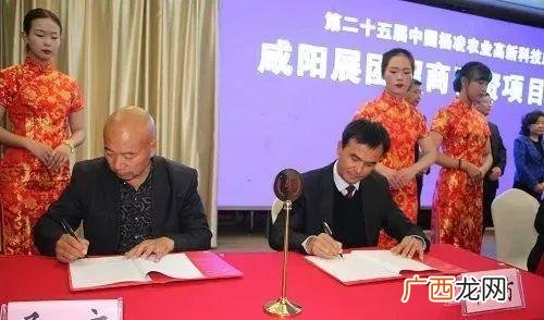 杨凌农高会养殖项目,杨凌农业养殖种植项目