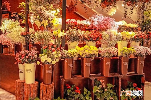 第一次创业开什么店好,开一个什么店比较好