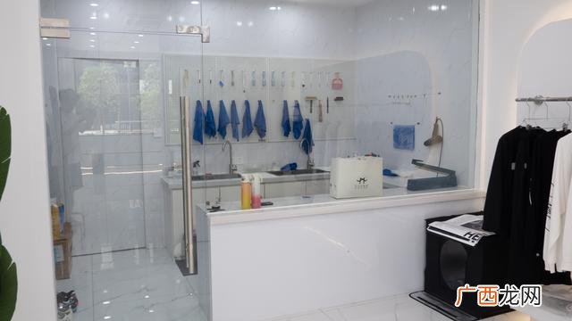 第一次创业开什么店好,开一个什么店比较好