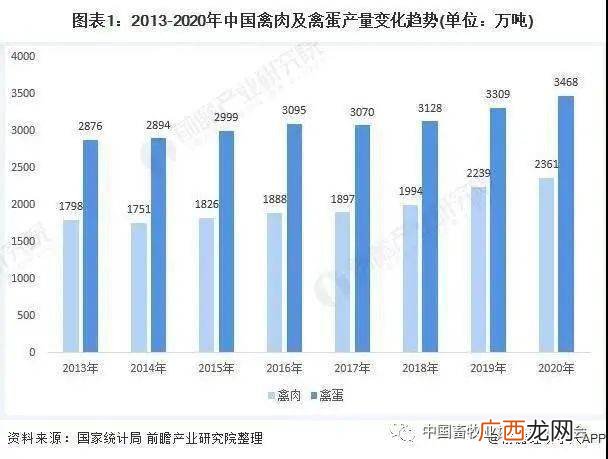 豪猪养殖 特种动物养殖现状